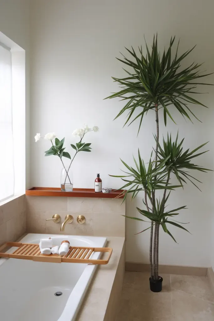 Add Life with Indoor Plants