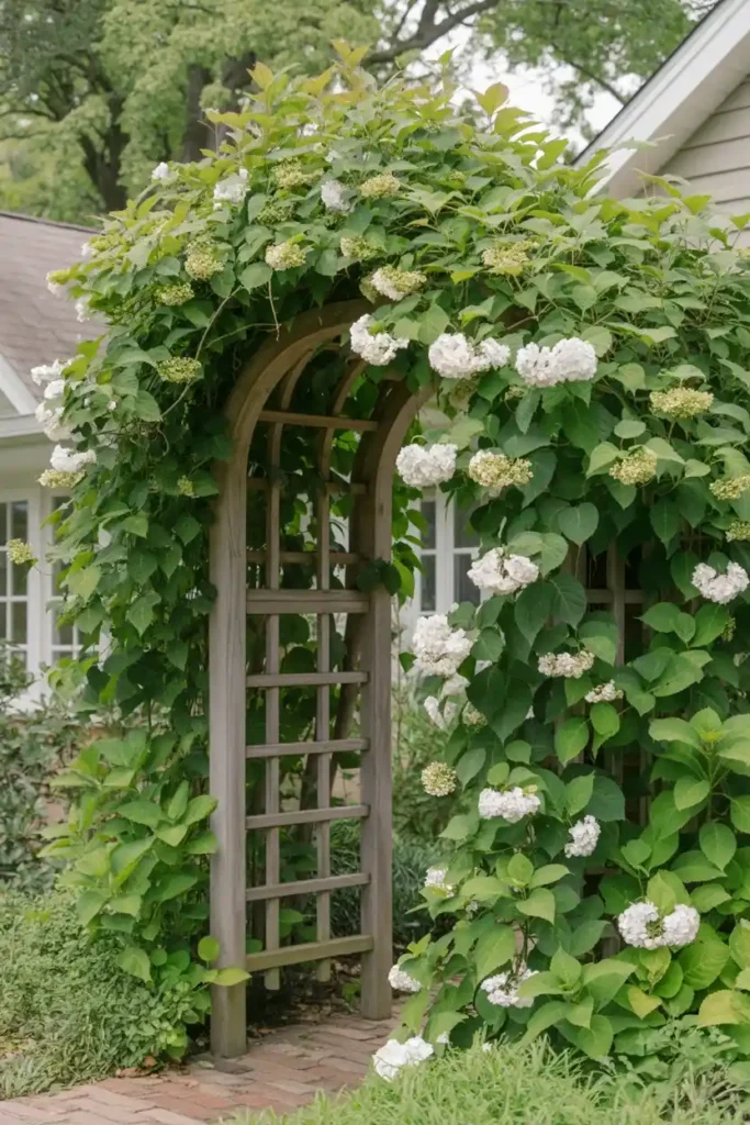 Climbing Entrance Arch 1