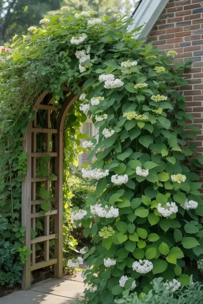Climbing Entrance Arch