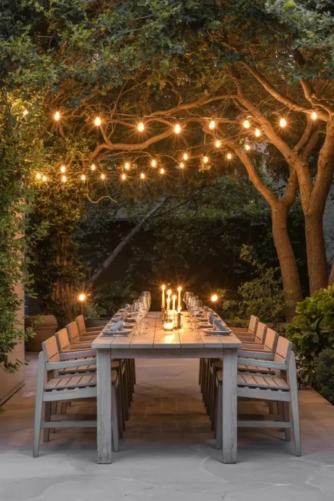 Dining Under the Stars