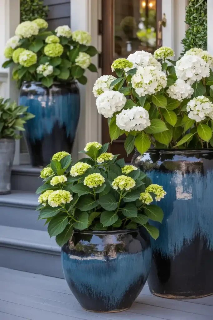 Dramatic Container Gardens 1