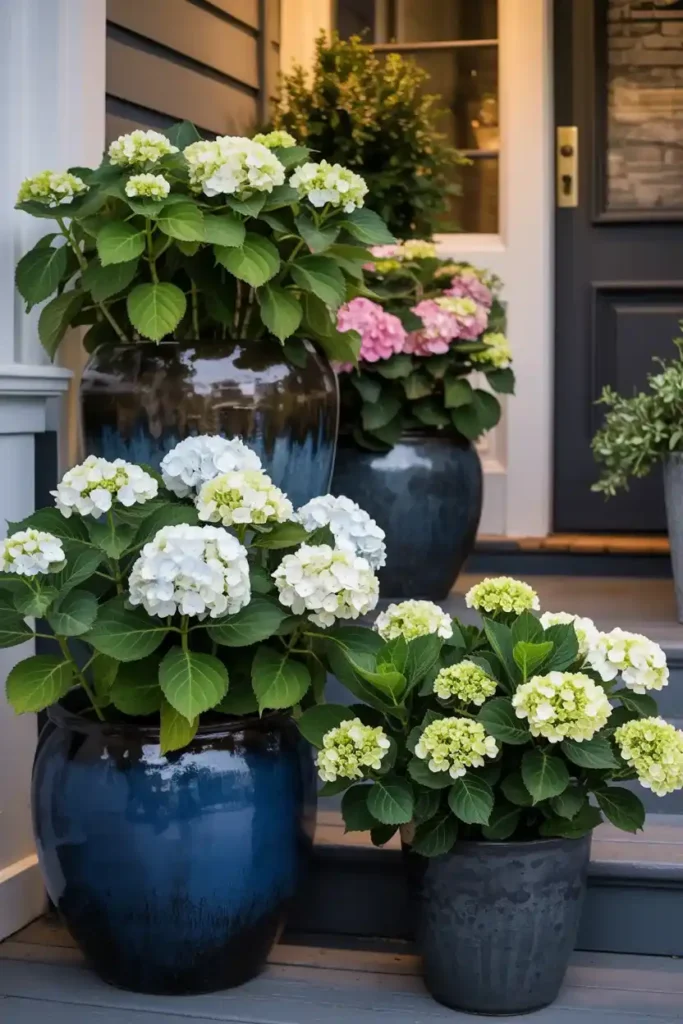 Dramatic Container Gardens
