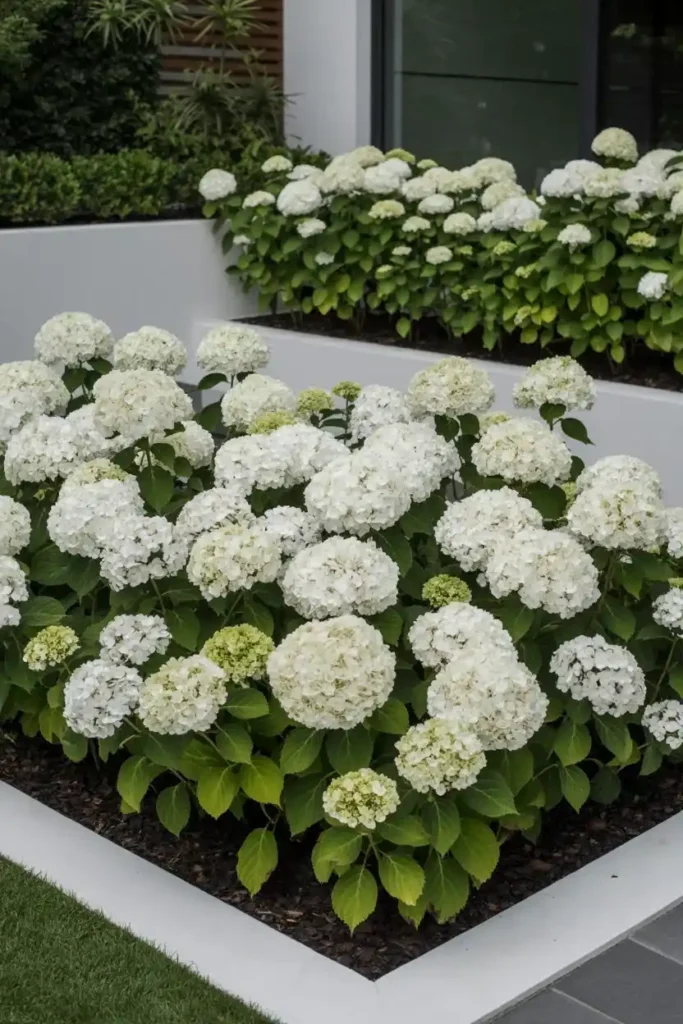 Modern Monochromatic Mass