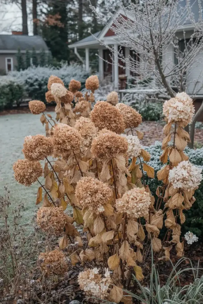 The Dried Flower Look
