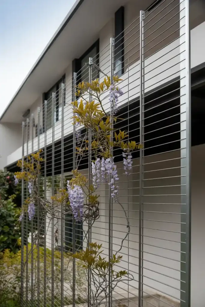 Modern Wire Rope Trellis