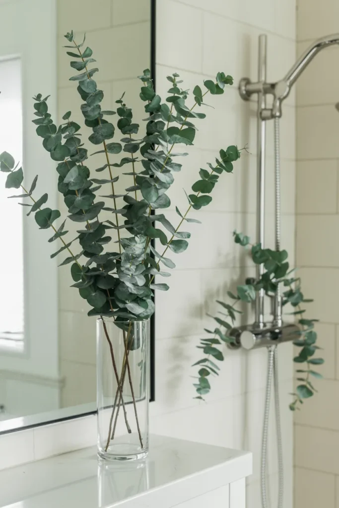 The Minimalist Eucalyptus Bundle
