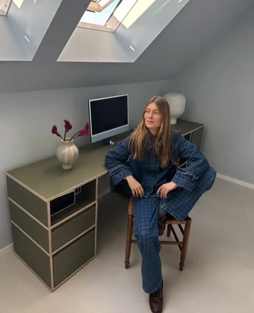 Minimal Attic Office with Skylight Focus