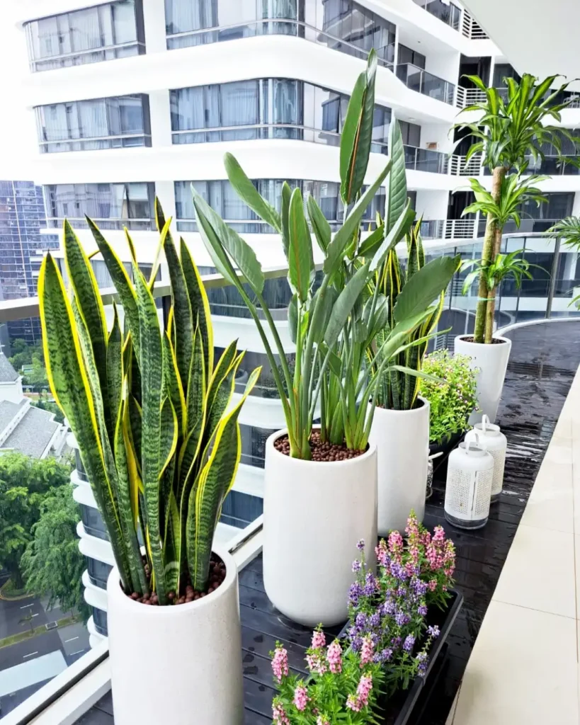 Contemporary Balcony with Statement Planters
