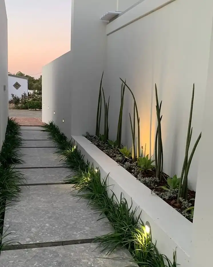 Minimalist Wall Garden with Soft Lighting Glow