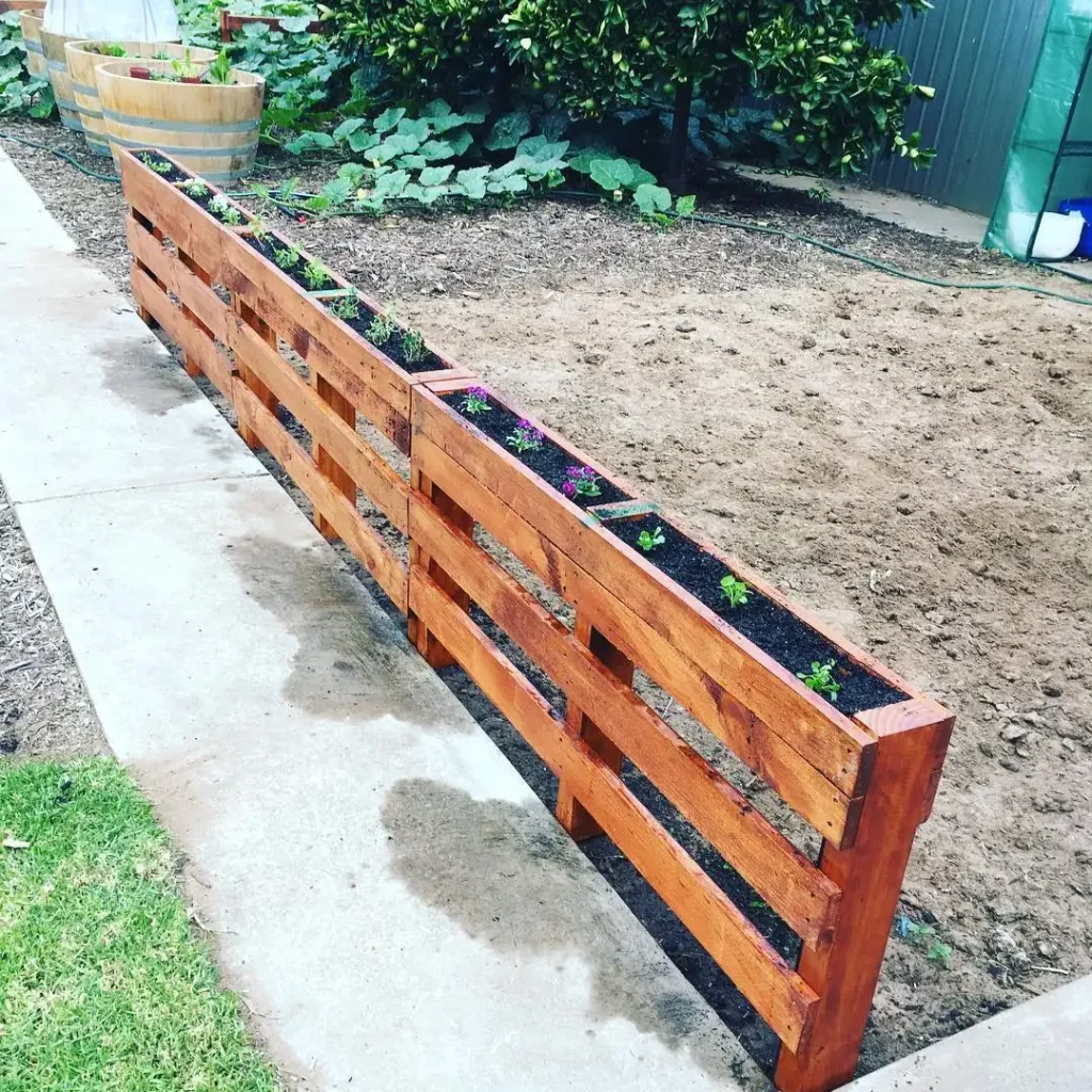 Long Pallet Raised Bed Border
