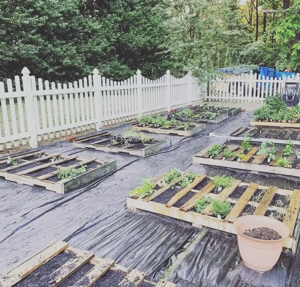 Pallet Raised Bed Garden Layout