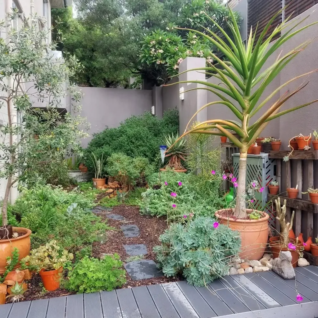 Modern Succulent Corner with Sculptural Plants